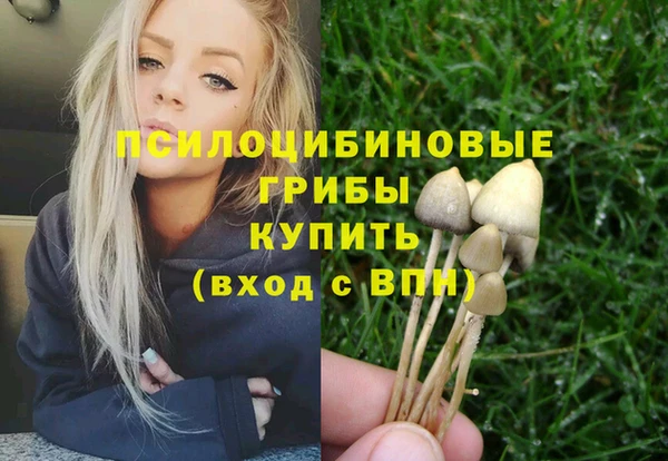 а пвп мука Богданович