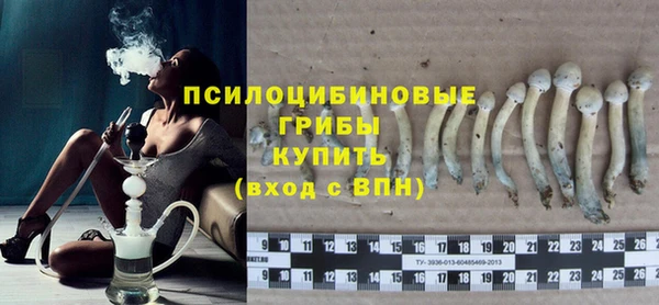 а пвп мука Богданович