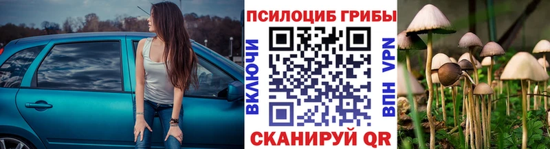 гидра ТОР  Белоусово  Псилоцибиновые грибы Psilocybe 